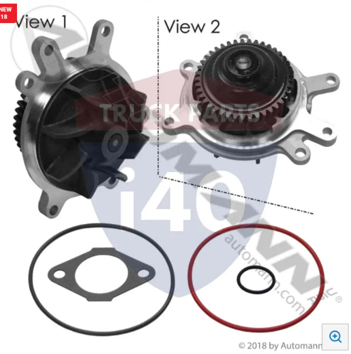 DP807 Water Pump For Dayco - GM