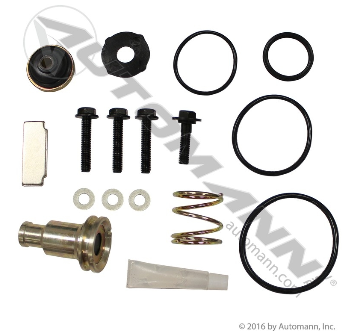 Automann 170.107798 AD9 Type Purge Valve Kit