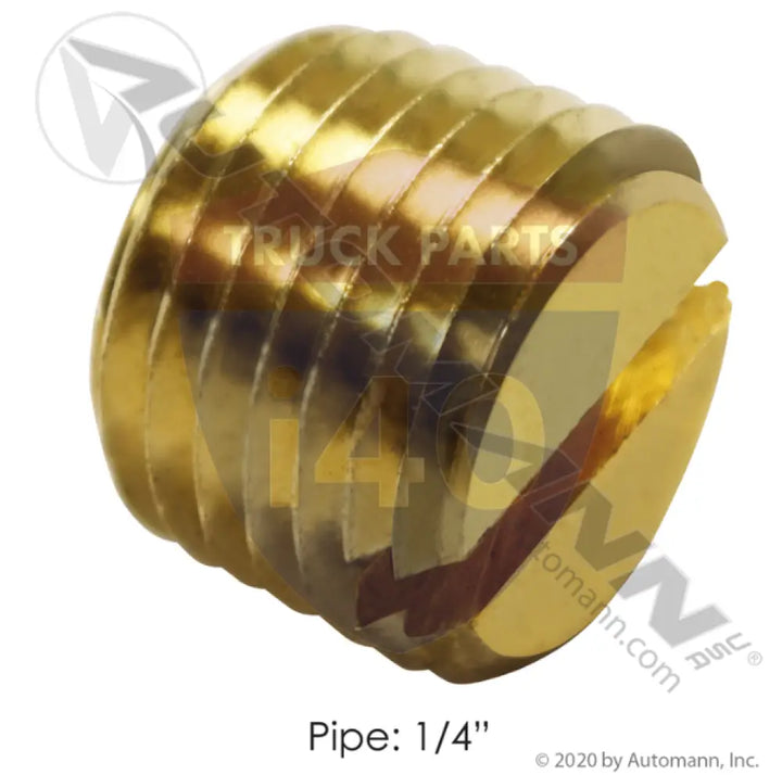 Automann 177.9117B Slotted Plug 1/4NPT - Slotted Plugs