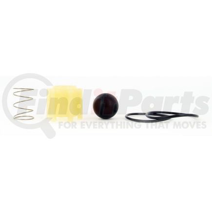 SKF 170.SKF238 Turbo 2000 Check Valve Kit