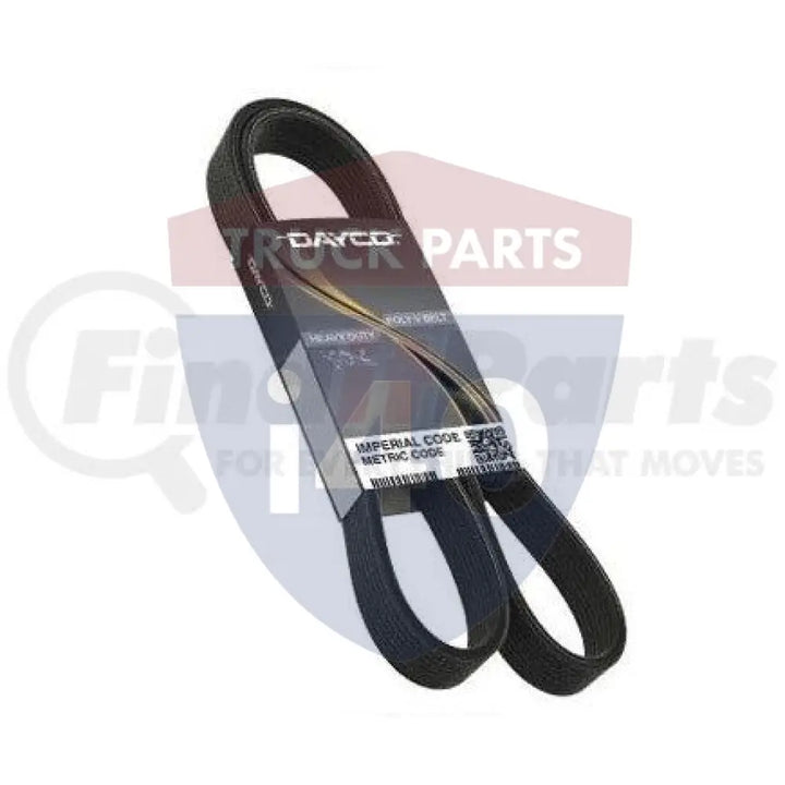 Dayco 825.5081333 Gold Label Poly-V Serpentine Belt - Serpentine Belts