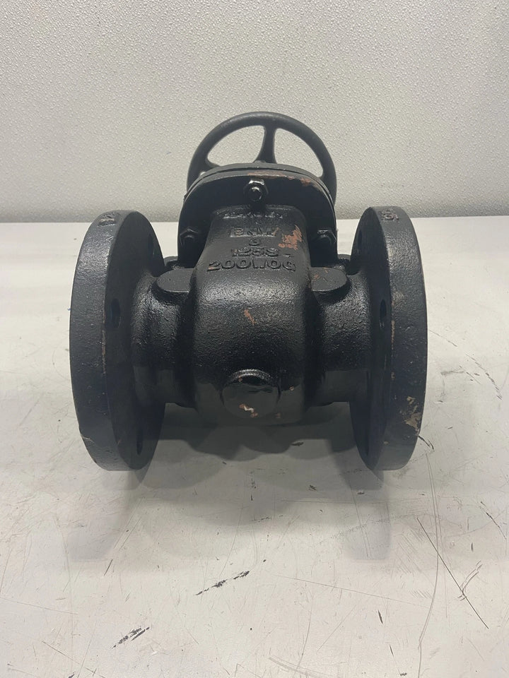 FNW 2-1/2 in. Cast Iron Flanged Gate Valve 651B