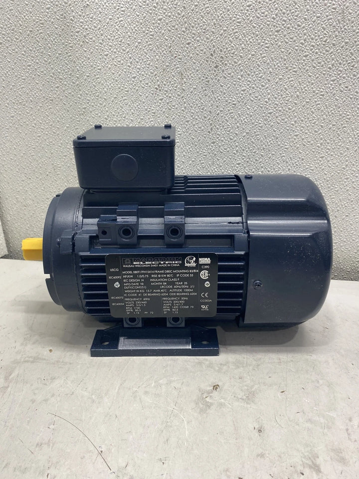 Marathon 080T17FH15414 1 HP Globetrotter B3/B14 IEC Motor, R373A